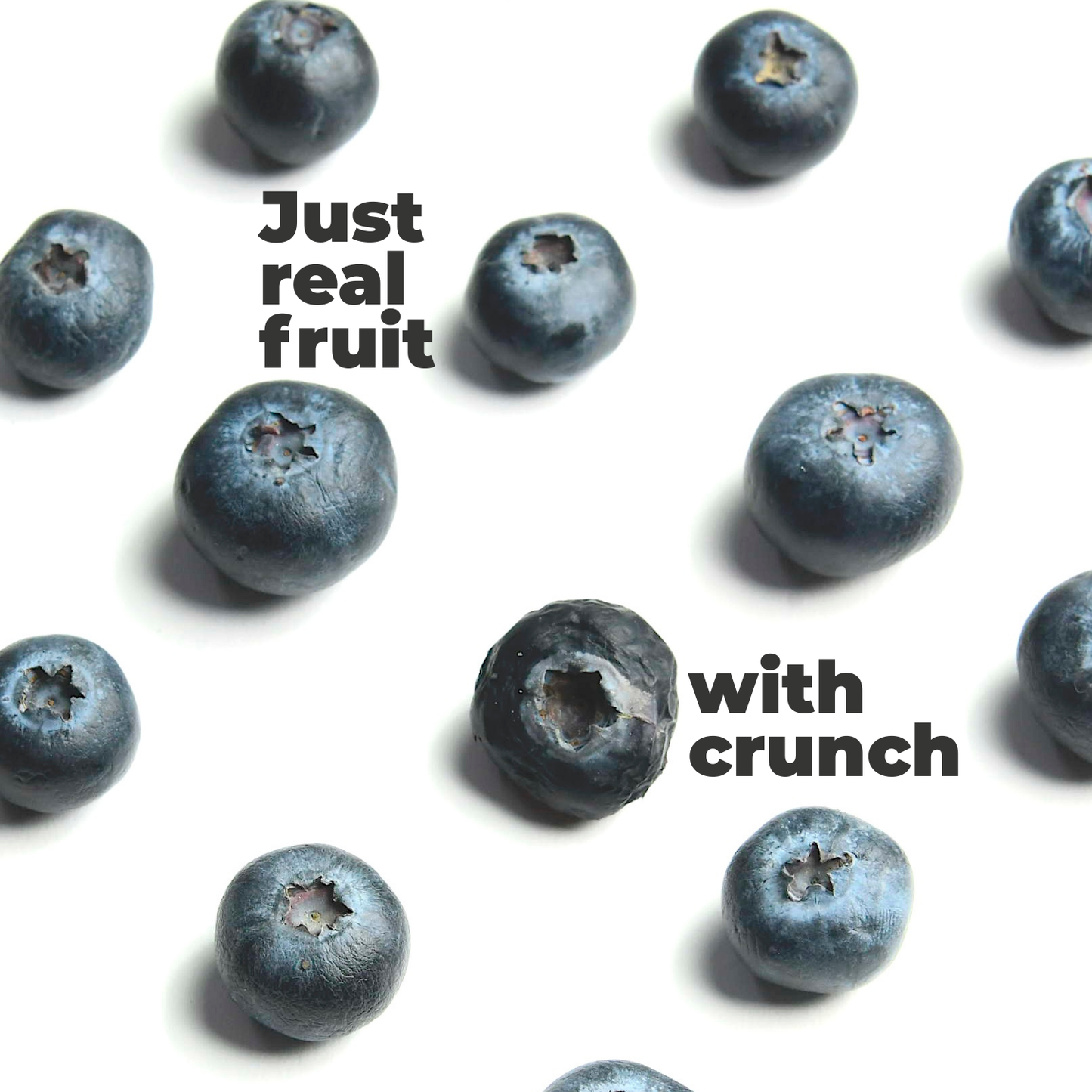 dried blueberry pieces crunchy texture superfood snack