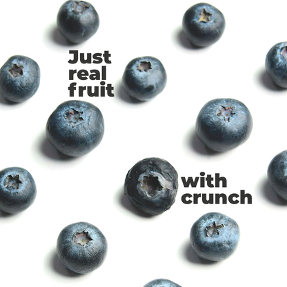dried blueberry pieces crunchy texture superfood snack