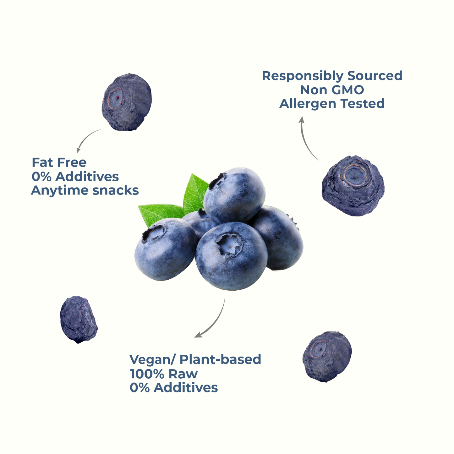 freeze dried blueberry benefits antioxidants fiber brain food