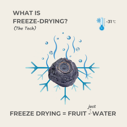 what is freeze drying blueberry fruit minus water explained