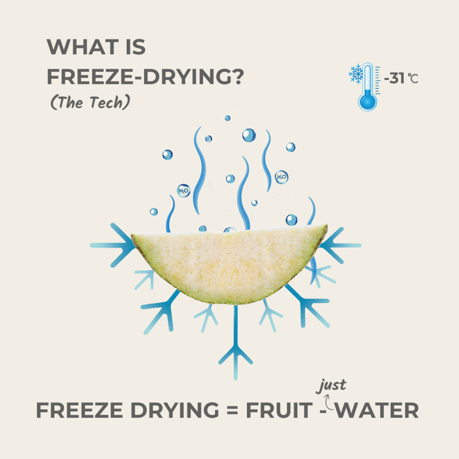 what is freeze drying pear fruit minus water explained