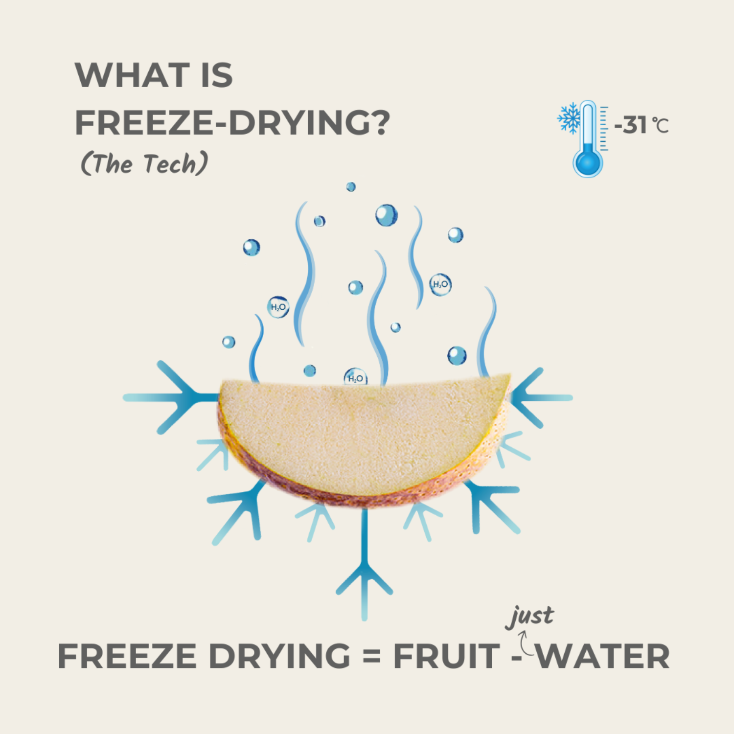 what is freeze drying fruit minus water technology explained
