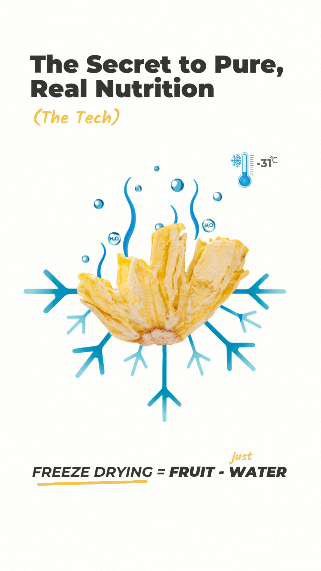Freeze drying is fruit minus just water