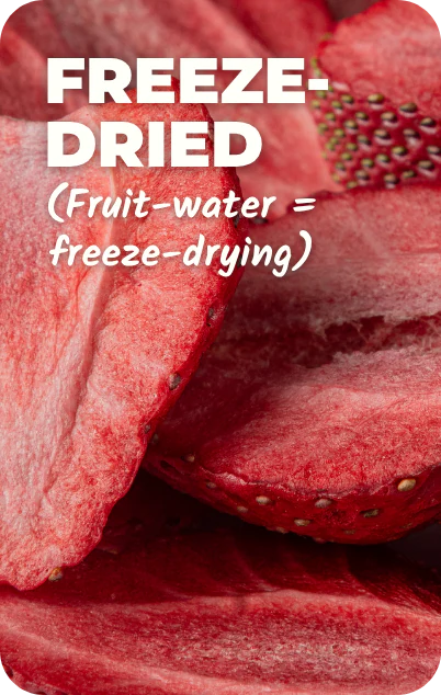 Freeze dried strawberry slices in close up, fruit with only the water removed, the process that keeps Everaw Super Smoothie Mix real